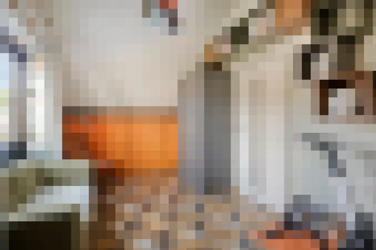 Boezemdreef 6 Krimpen aan den IJssel thumbnail 47