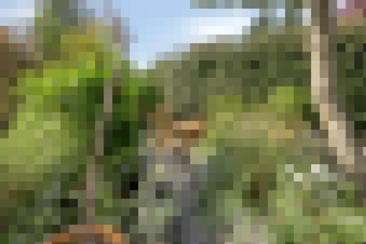 Boezemdreef 6 Krimpen aan den IJssel thumbnail 50