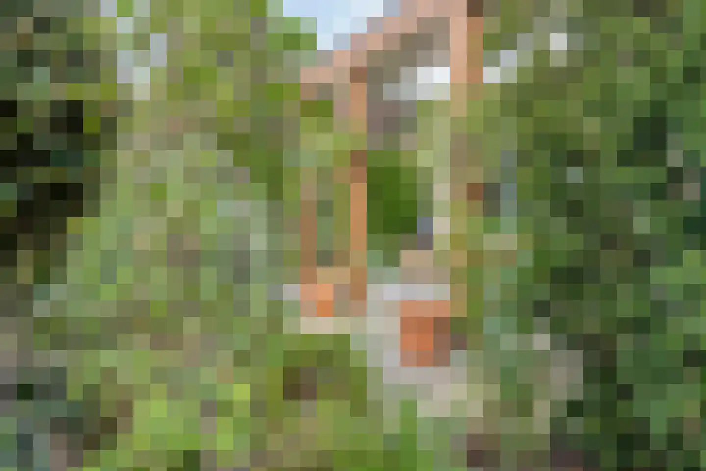 Boezemdreef 6 Krimpen aan den IJssel thumbnail 51
