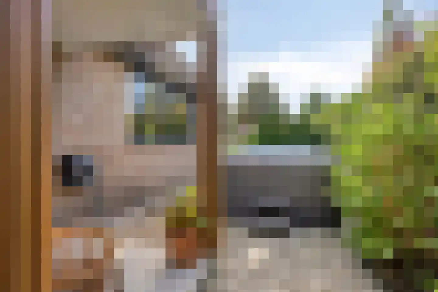 Boezemdreef 6 Krimpen aan den IJssel thumbnail 53