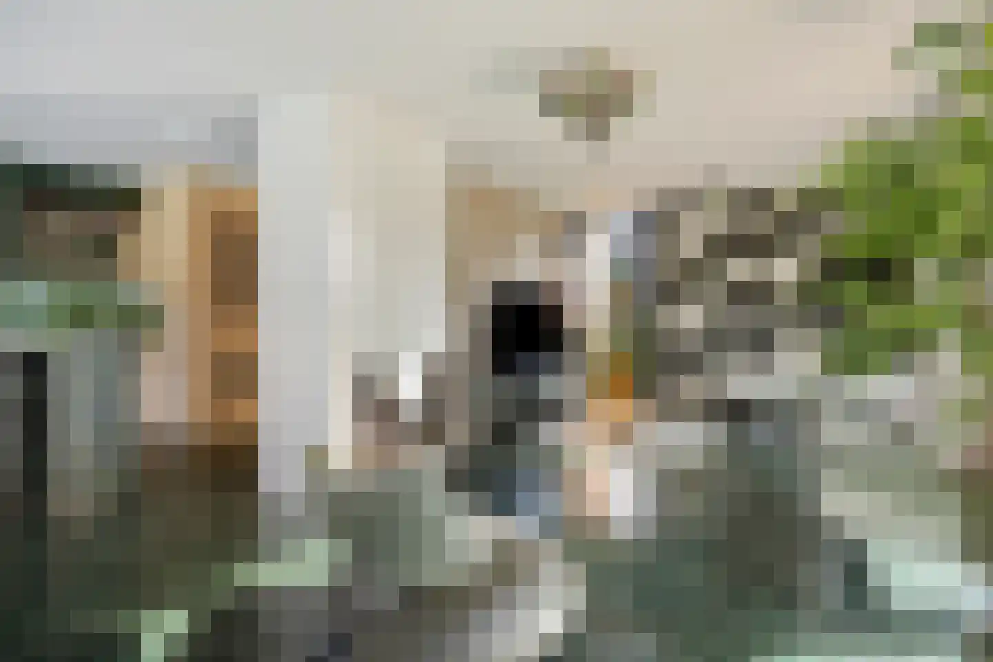 Boezemdreef 6 Krimpen aan den IJssel thumbnail 6