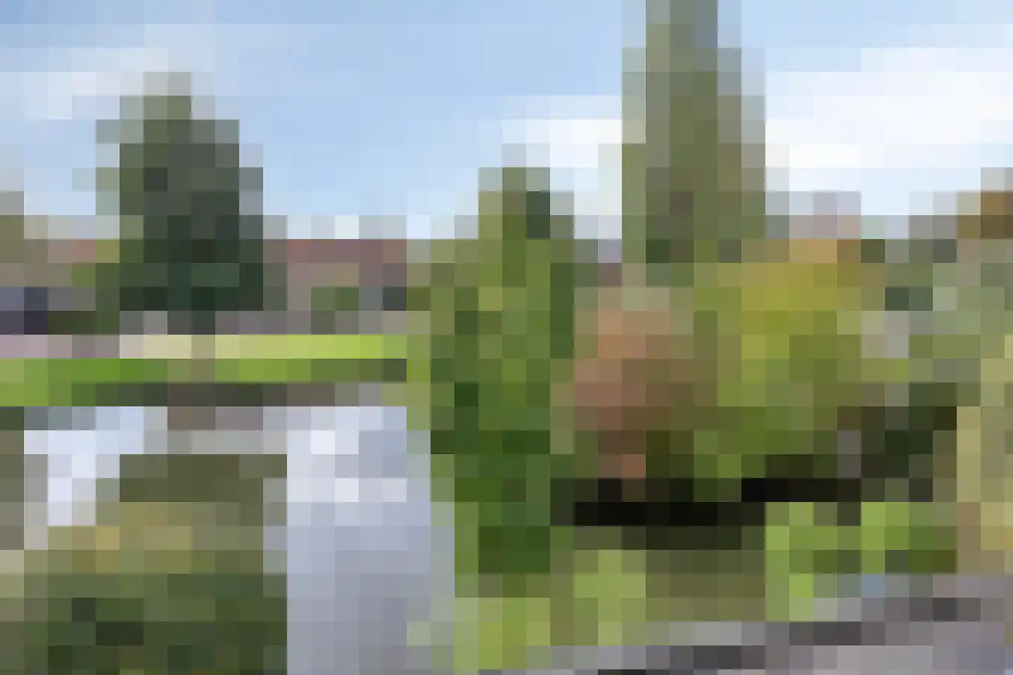 Boezemdreef 6 Krimpen aan den IJssel thumbnail 61