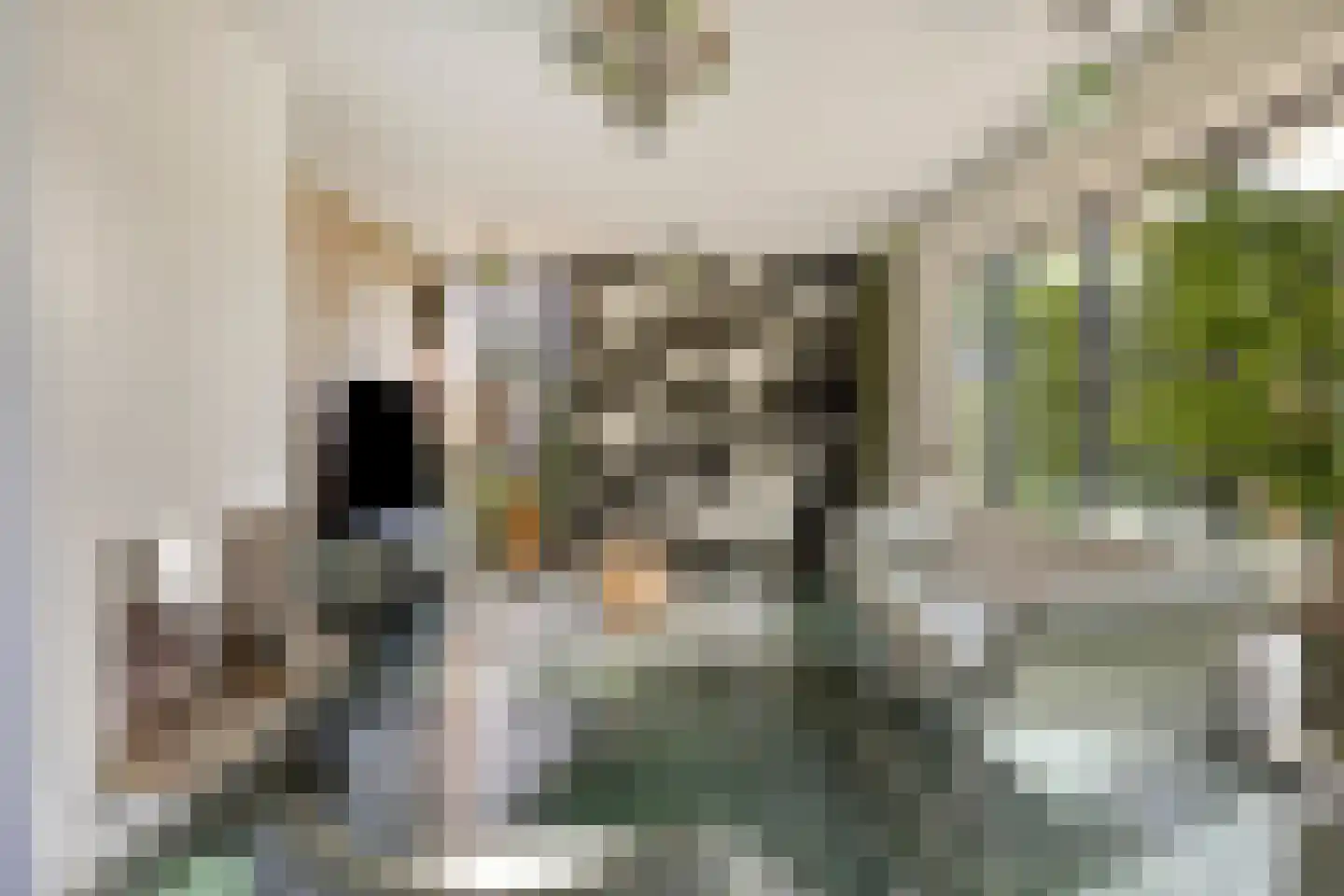 Boezemdreef 6 Krimpen aan den IJssel thumbnail 8