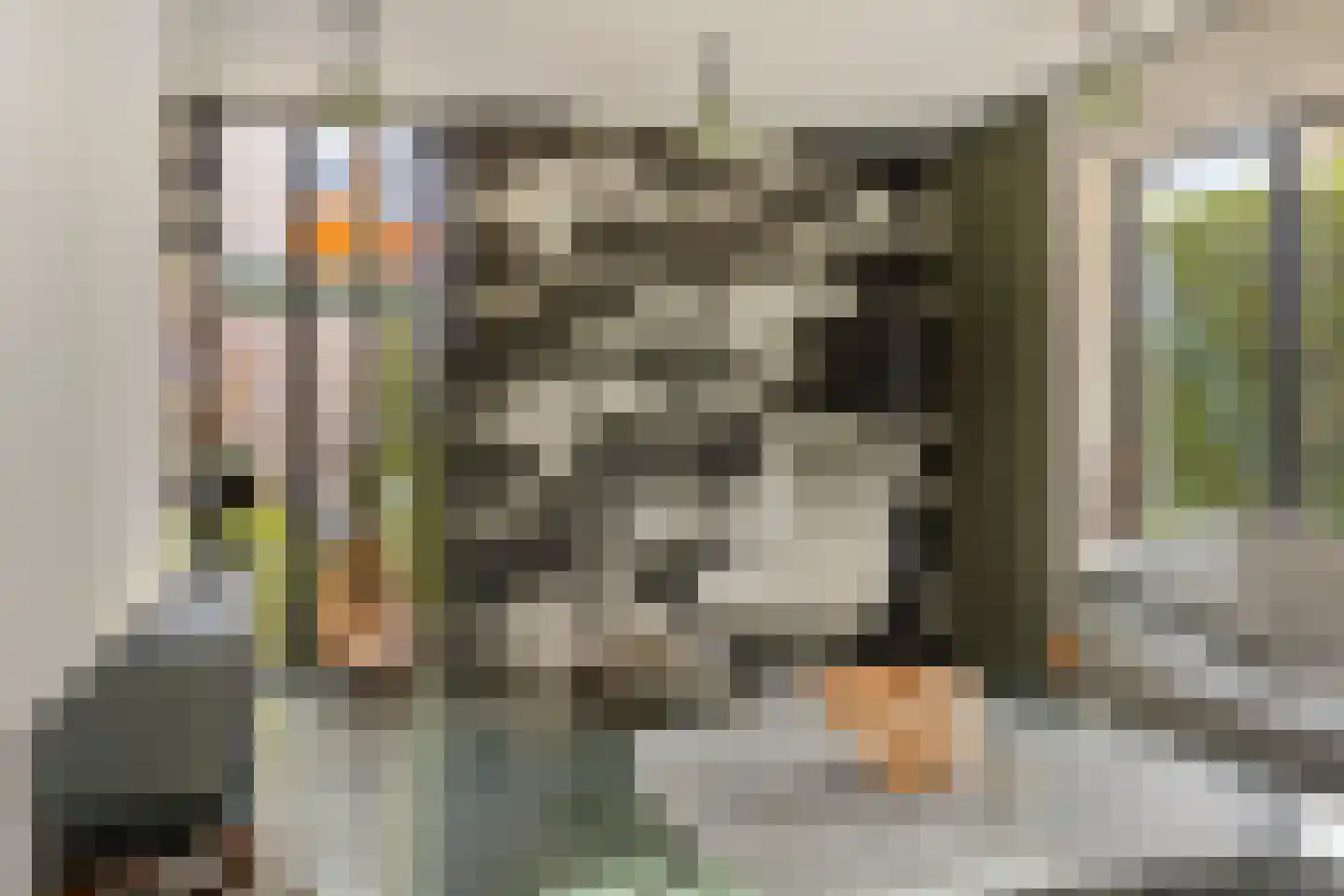 Boezemdreef 6 Krimpen aan den IJssel thumbnail 9