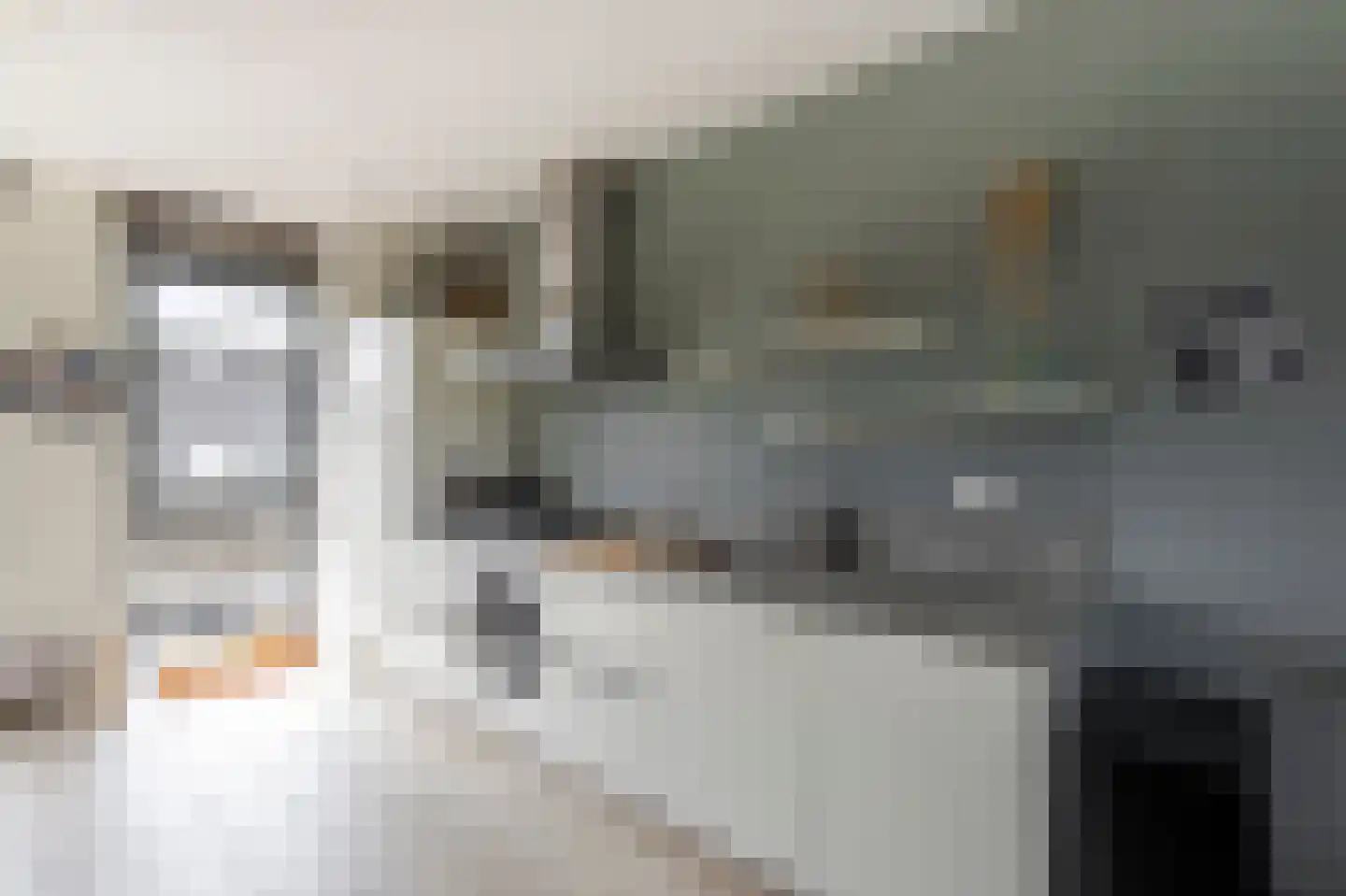 Boezemkade 10 Ottoland thumbnail 11