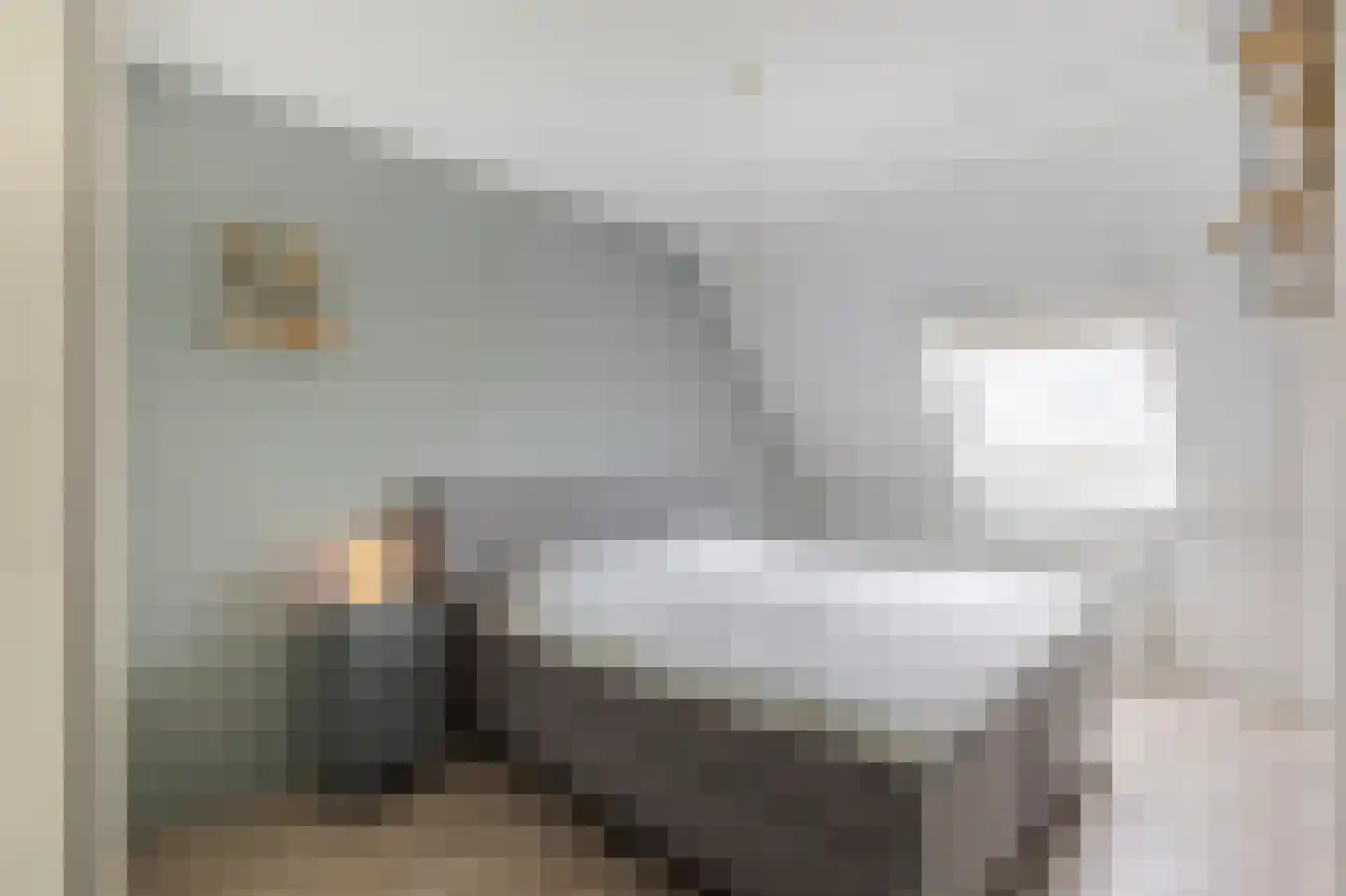 Boezemkade 10 Ottoland thumbnail 24