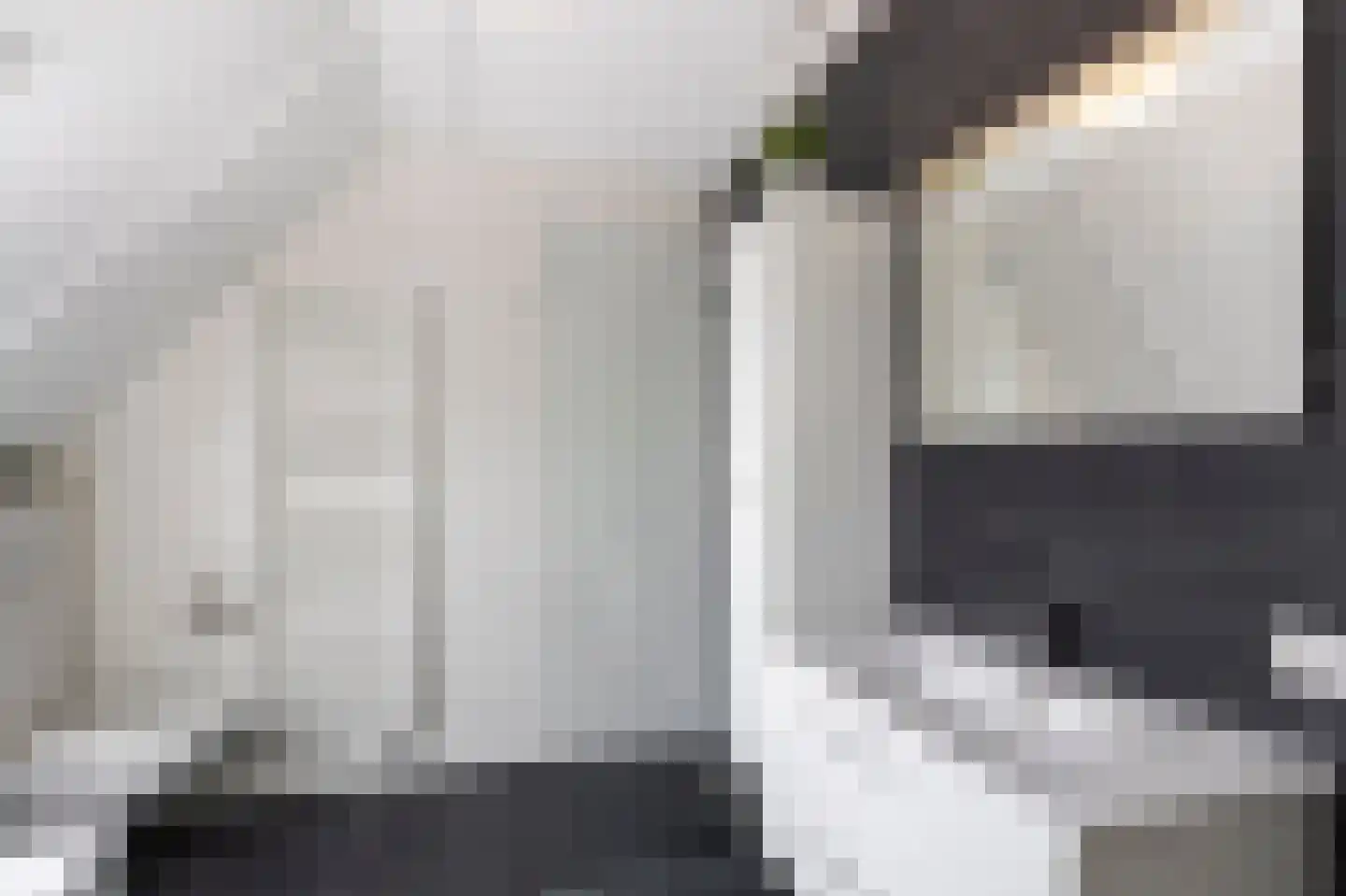 Boezemkade 10 Ottoland thumbnail 28