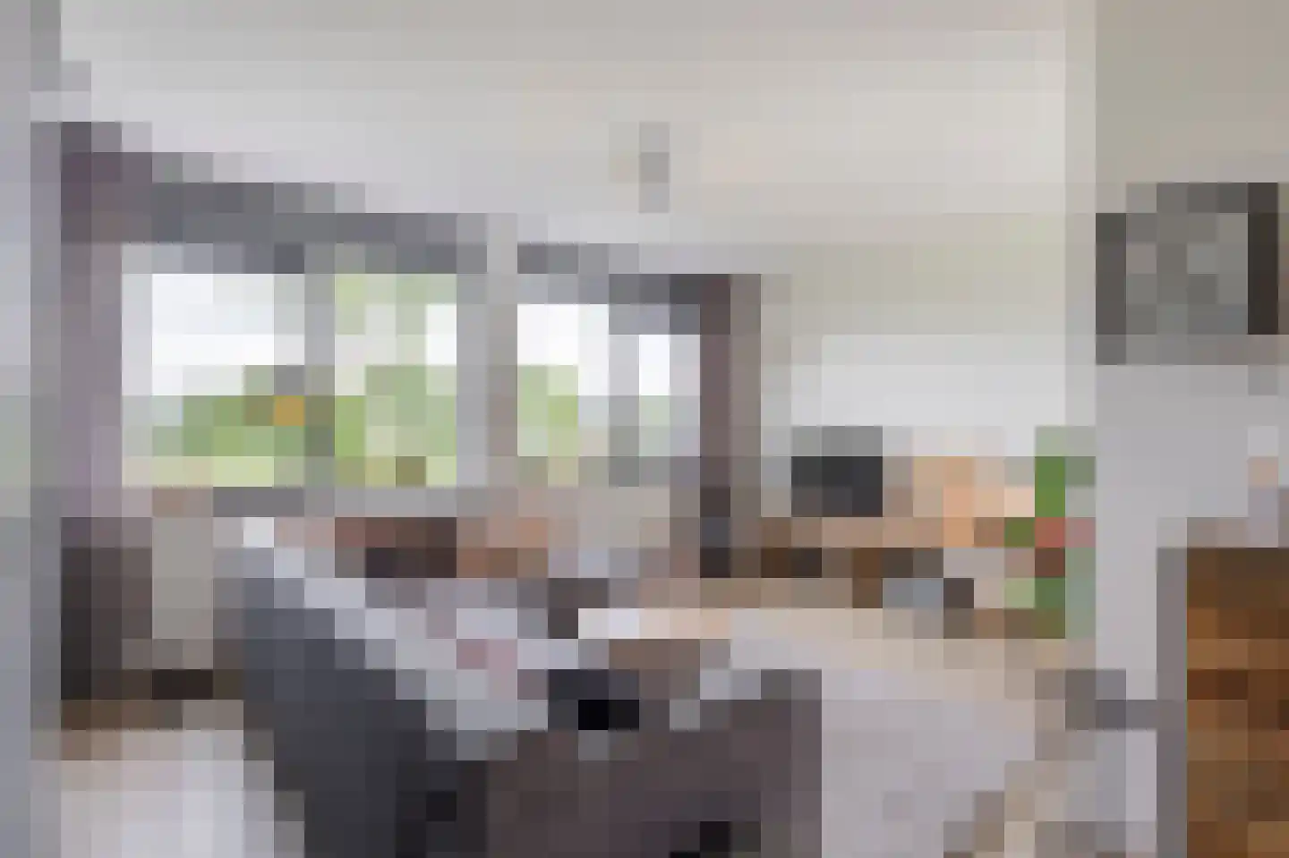 Boezemkade 10 Ottoland thumbnail 6