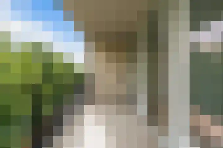 Boezemkade 113 Rotterdam thumbnail 25