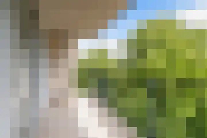 Boezemkade 113 Rotterdam thumbnail 26