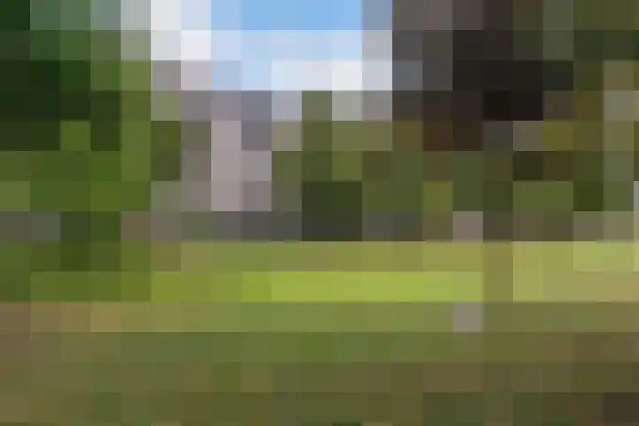 Boezemkade 113 Rotterdam thumbnail 31