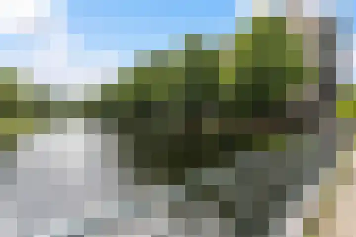 Boezemkade 113 Rotterdam thumbnail 34