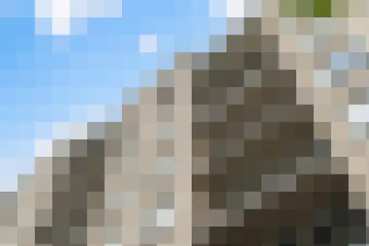 Boezemkade 113 Rotterdam thumbnail 35