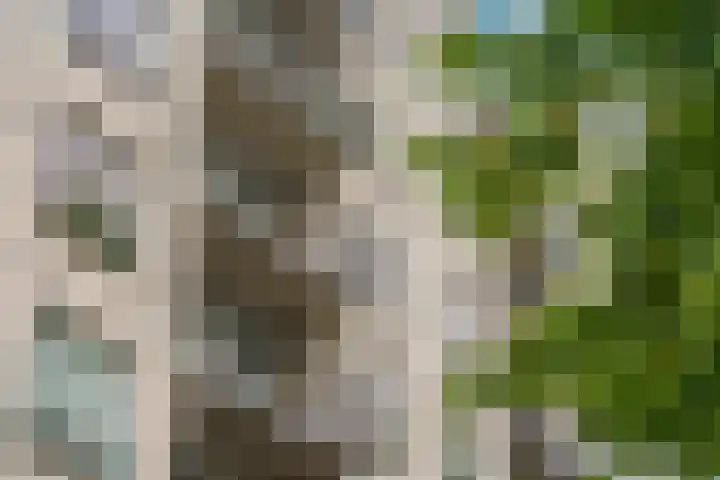 Boezemkade 113 Rotterdam thumbnail 36