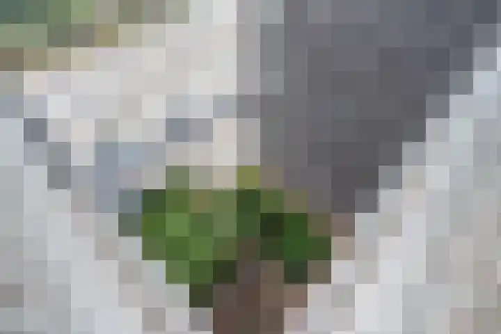 Boezemkade 113 Rotterdam thumbnail 9