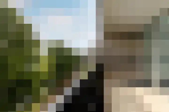 Boezemkade 119 Rotterdam thumbnail 11
