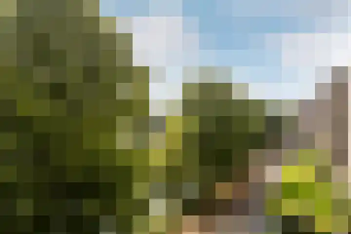 Boezemkade 119 Rotterdam thumbnail 12