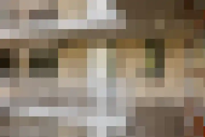 Boezemkade 119 Rotterdam thumbnail 25