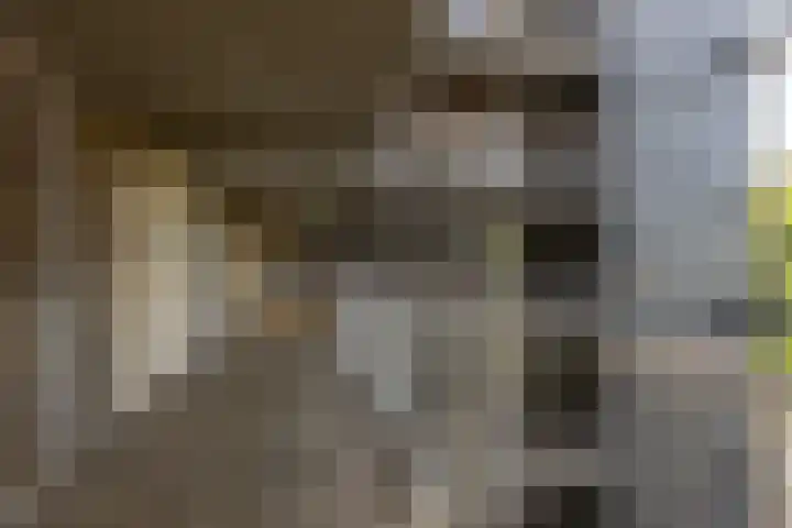 Boezemkade 119 Rotterdam thumbnail 26