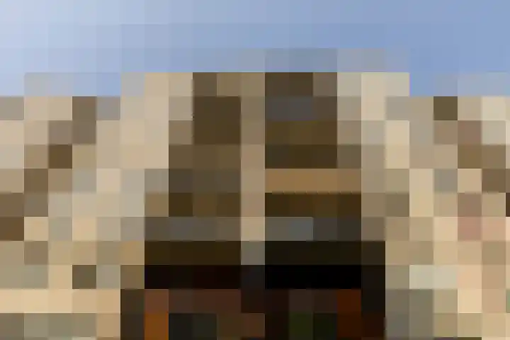 Boezemkade 119 Rotterdam thumbnail 28