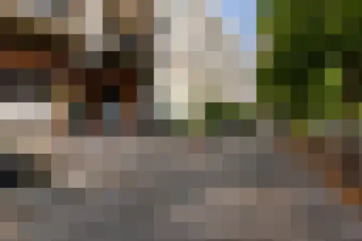 Boezemkade 119 Rotterdam thumbnail 29