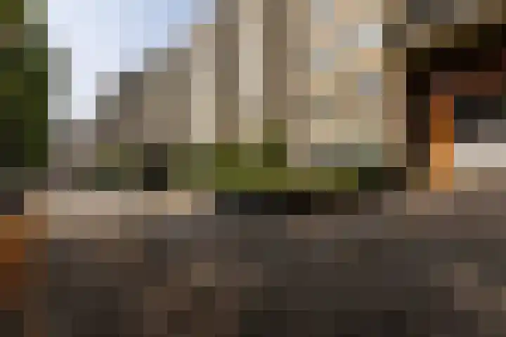 Boezemkade 119 Rotterdam thumbnail 31