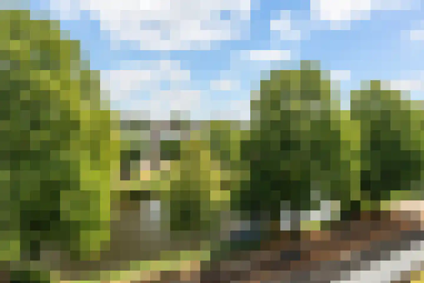 Boezemkade 123 Rotterdam thumbnail 27