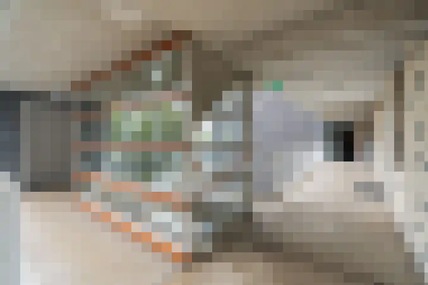 Boezemkade 123 Rotterdam thumbnail 30