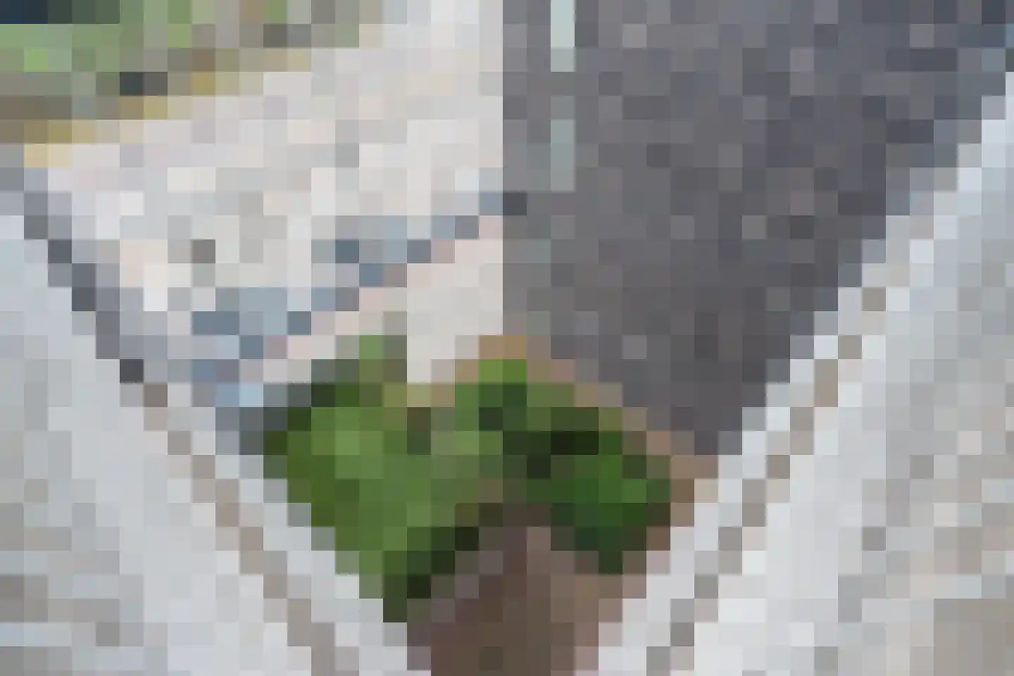 Boezemkade 123 Rotterdam thumbnail 31