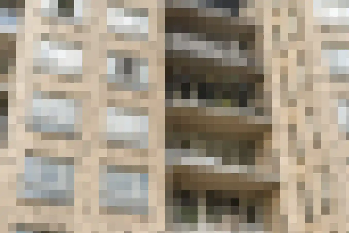 Boezemkade 123 Rotterdam thumbnail 33
