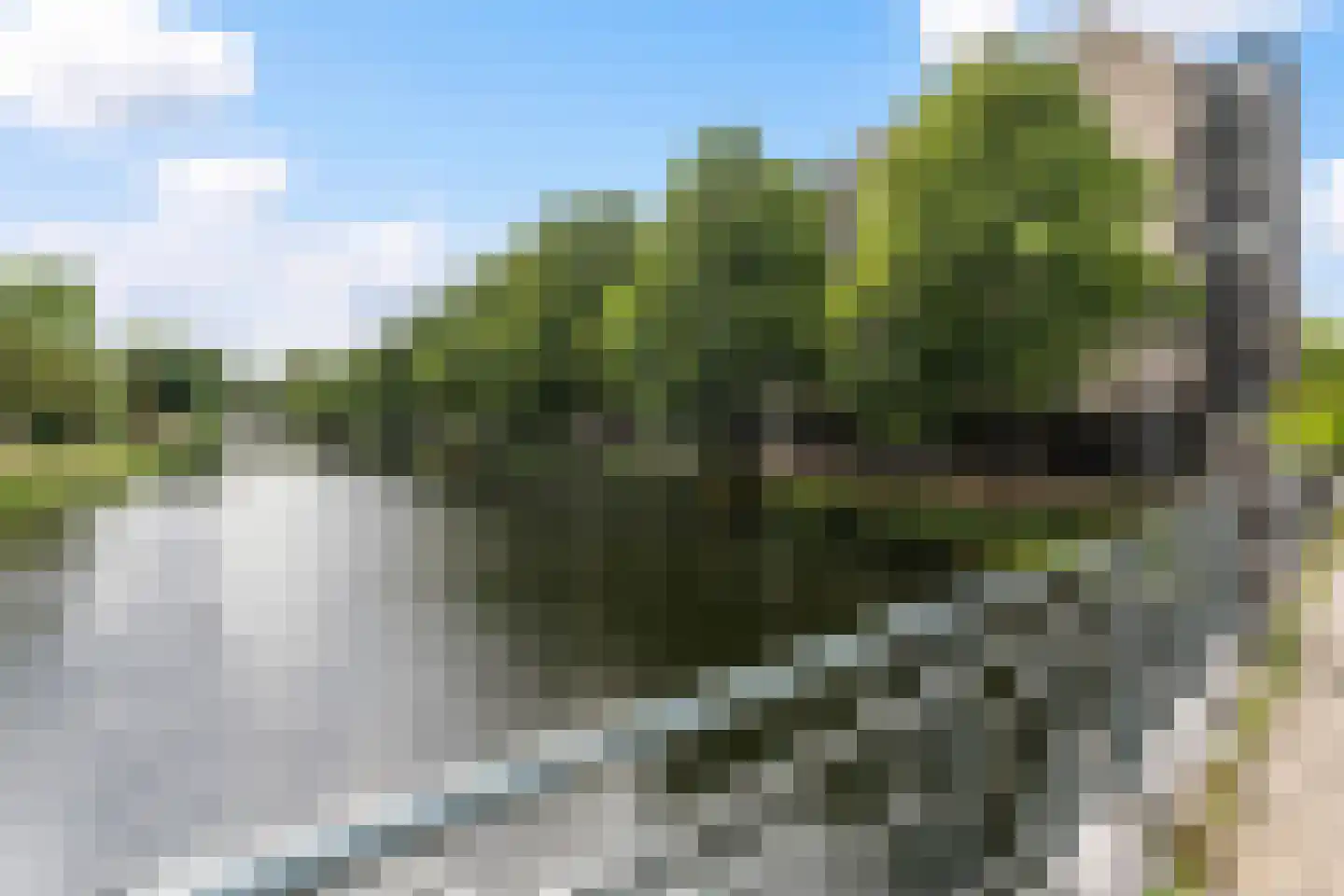 Boezemkade 123 Rotterdam thumbnail 37