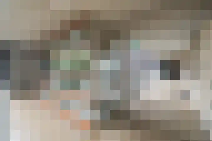 Boezemkade 137 Rotterdam thumbnail 31