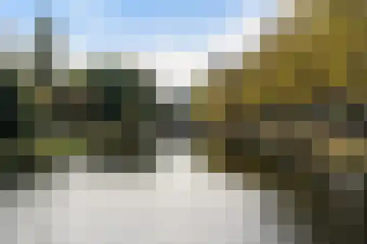 Boezemkade 137 Rotterdam thumbnail 35