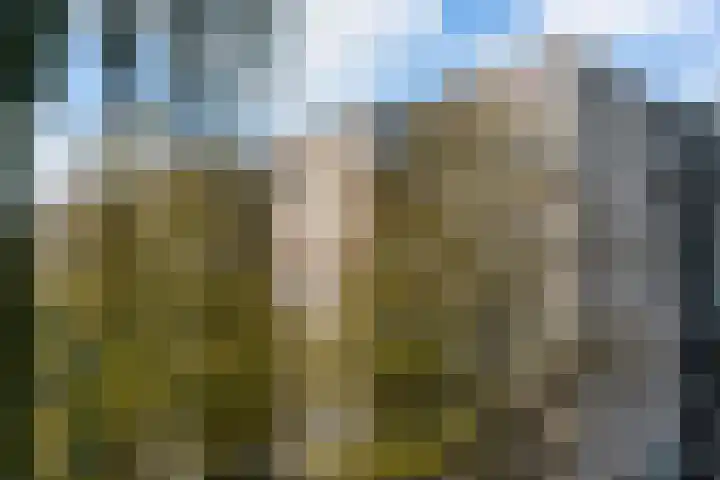 Boezemkade 173 Rotterdam thumbnail 36