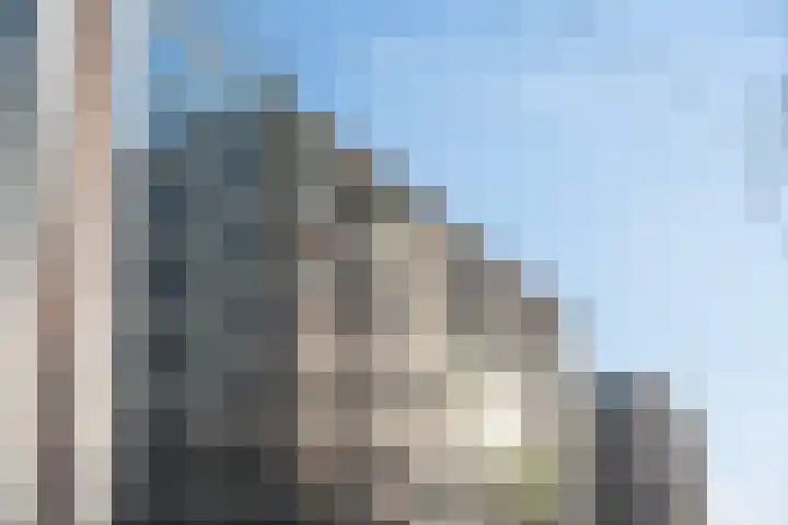 Boezemkade 211 Rotterdam thumbnail 23