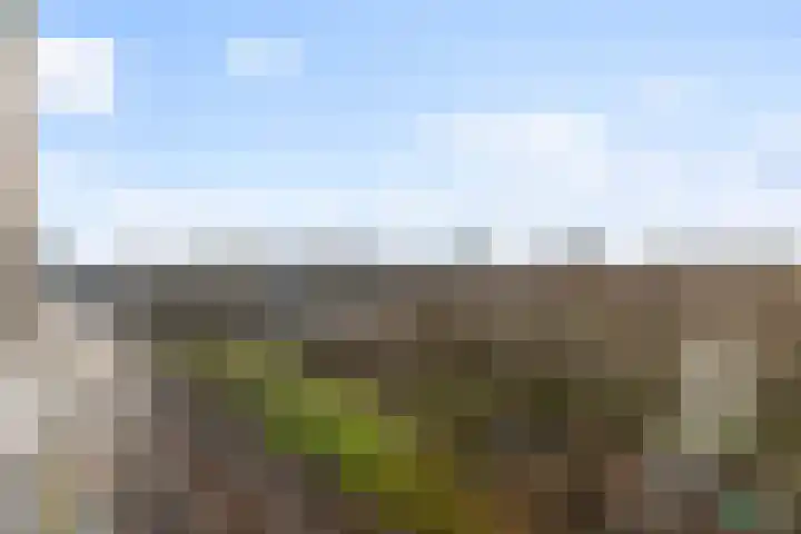 Boezemkade 211 Rotterdam thumbnail 25