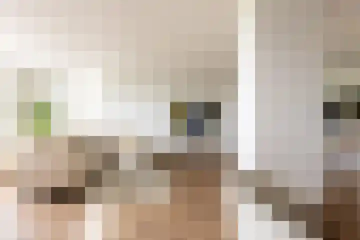 Boezemkade 213 Rotterdam thumbnail 13