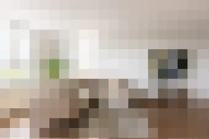 Boezemkade 213 Rotterdam thumbnail 14