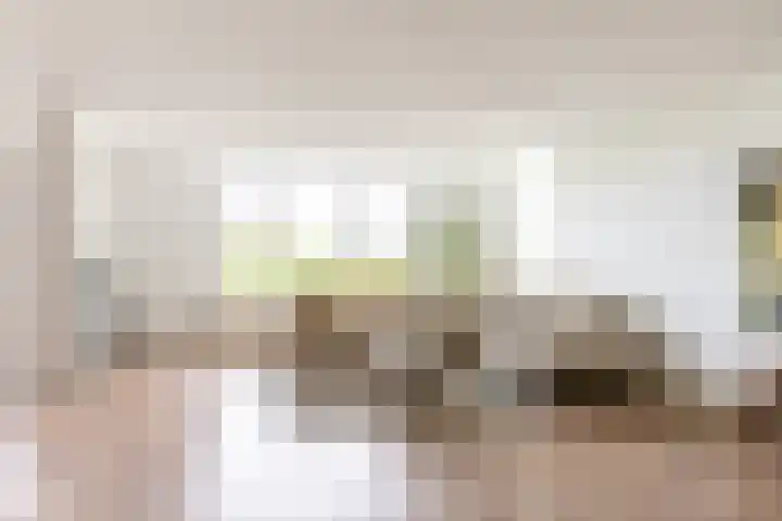 Boezemkade 213 Rotterdam thumbnail 17