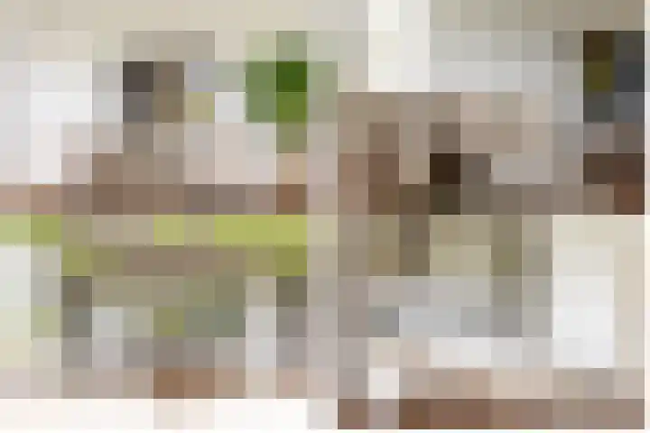 Boezemkade 213 Rotterdam thumbnail 18
