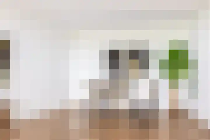 Boezemkade 213 Rotterdam thumbnail 20