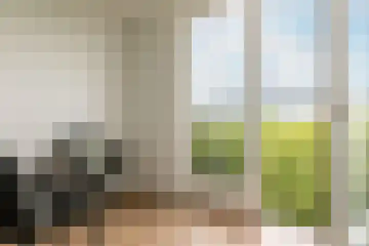 Boezemkade 213 Rotterdam thumbnail 22