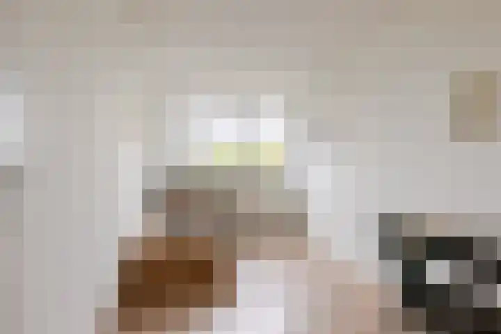 Boezemkade 213 Rotterdam thumbnail 25