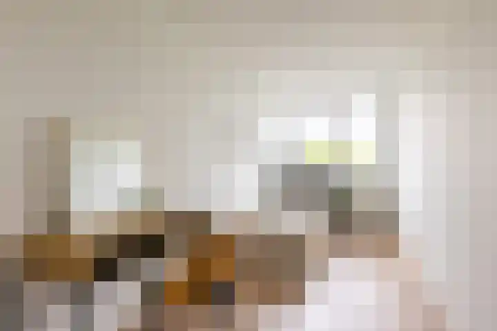 Boezemkade 213 Rotterdam thumbnail 28