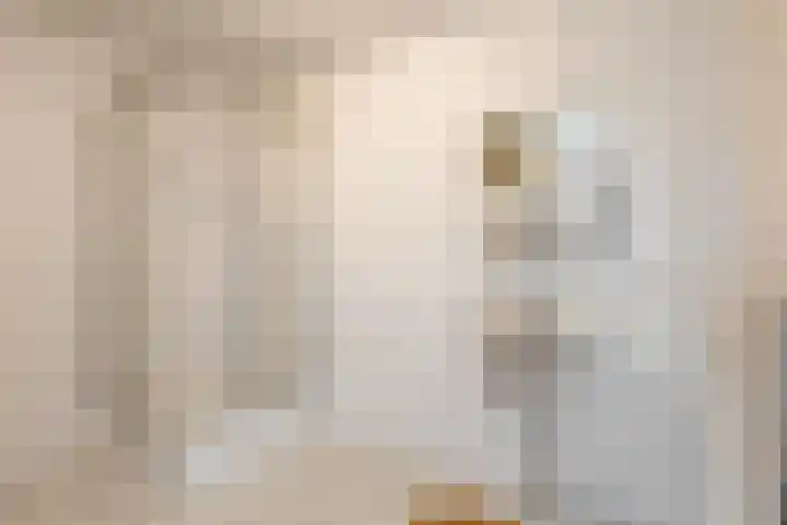 Boezemkade 213 Rotterdam thumbnail 30