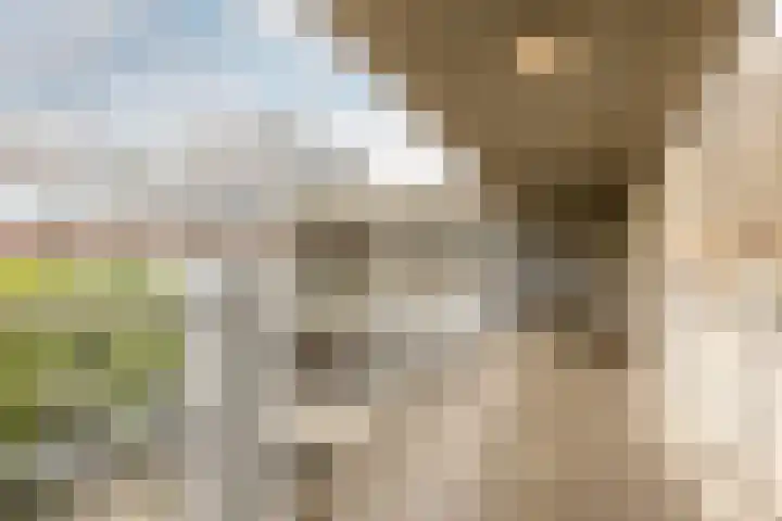 Boezemkade 213 Rotterdam thumbnail 38