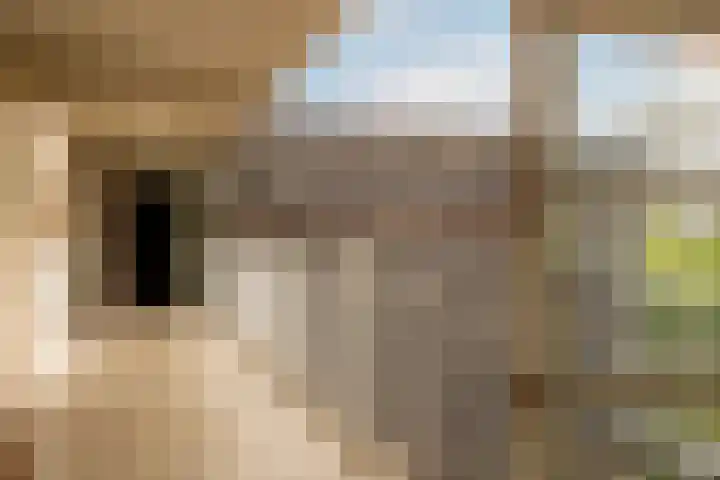 Boezemkade 213 Rotterdam thumbnail 39