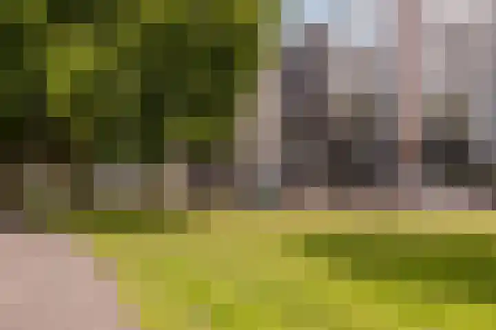 Boezemkade 213 Rotterdam thumbnail 44