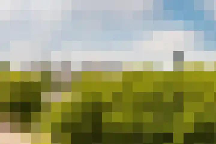 Boezemkade 213 Rotterdam thumbnail 45