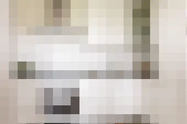 Boezemkade 213 Rotterdam thumbnail 5